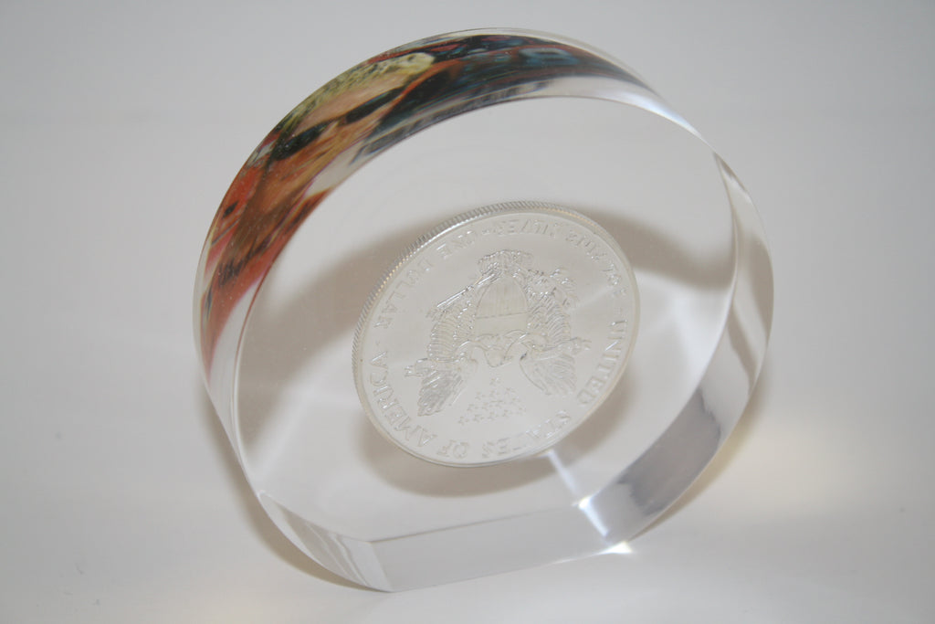 DALE EARNHARDT JR 2001 1 oz American Silver Eagle Colorized Coin Lucite Paperweight