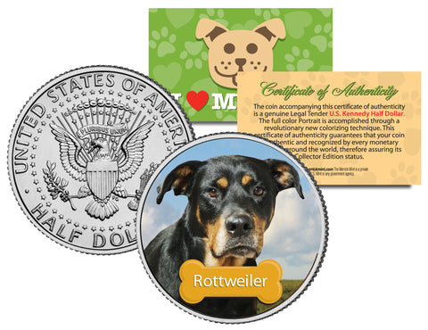 LABRADOR RETRIEVER - Dog - JFK Kennedy Half Dollar U.S. Colorized Coin - Limited Edition
