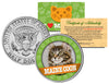 MAINE COON Cat JFK Kennedy Half Dollar U.S. Colorized Coin
