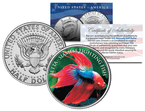 NEON TETRAS - Tropical Fish Series - JFK Kennedy Half Dollar U.S. Colorized Coin