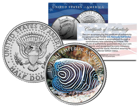 SPECTACULAR WEEDY SEADRAGON - Tropical Fish Series - JFK Kennedy Half Dollar U.S. Colorized Coin