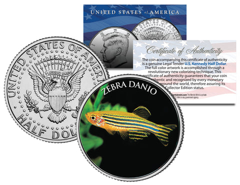 SEA TURTLE JFK Kennedy Half Dollar US Colorized Coin