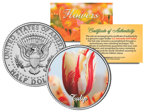 PANSY POPPY FLOWER JFK Kennedy Half Dollar U.S. Colorized Coin
