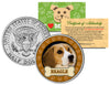 BEAGLE Dog JFK Kennedy Half Dollar U.S. Colorized Coin