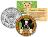 BOSTON TERRIER Dog JFK Kennedy Half Dollar U.S. Colorized Coin