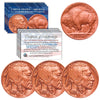 Lot of 3 Various Full Date BUFFALO NICKELS US Coins - Genuine ROSE GOLD plated - Indian Head Nickels