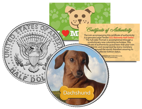 ROTTWEILER Dog JFK Kennedy Half Dollar U.S. Colorized Coin