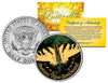 EASTERN TIGER SWALLOWTAIL BUTTERFLY JFK Kennedy Half Dollar U.S. Colorized Coin