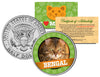 BENGAL Cat JFK Kennedy Half Dollar U.S. Colorized Coin