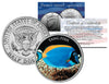 TANG FISH - Tropical Fish Series - JFK Kennedy Half Dollar U.S. Colorized Coin