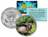 WOOD DUCK Collectible Birds JFK Kennedy Half Dollar Colorized US Coin CAROLINA