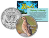 MOURNING DOVE Collectible Birds JFK Kennedy Half Dollar Colorized US Coin