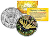 ORCHARD SWALLOWTAIL BUTTERFLY JFK Kennedy Half Dollar U.S. Colorized Coin